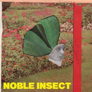 Noble Insect