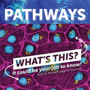 Pathways: Basic Science Careers icon.