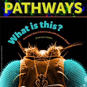 Pathways: Circadian Rhythms icon.