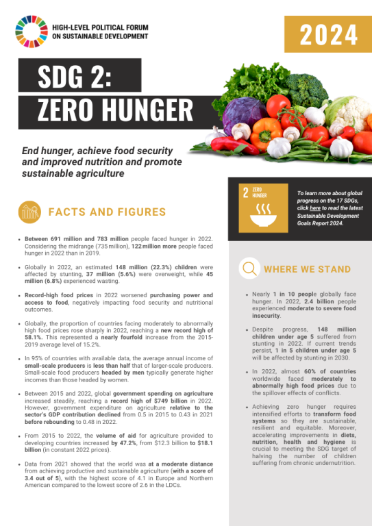 SDG 2 Factsheet 2024