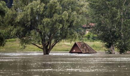 Urgent Appeal: Help Flood Victims in Central Europe