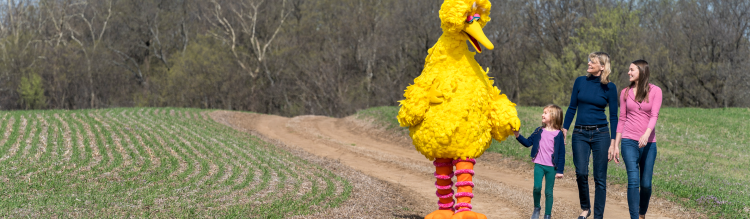 A family of two women and a young girl walk with Big Bird in an open field.