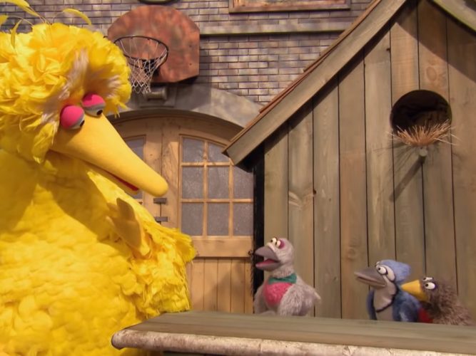 Big Bird talking to pigeons.