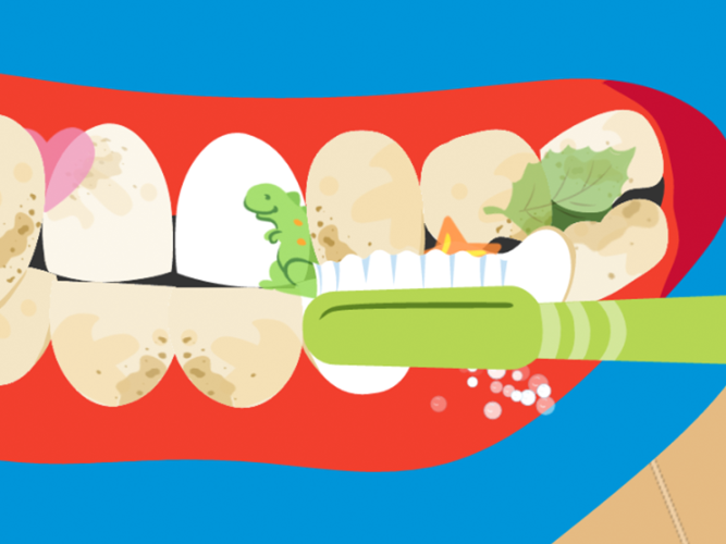 Close up of an illustrated tooth brush brushing teeth.