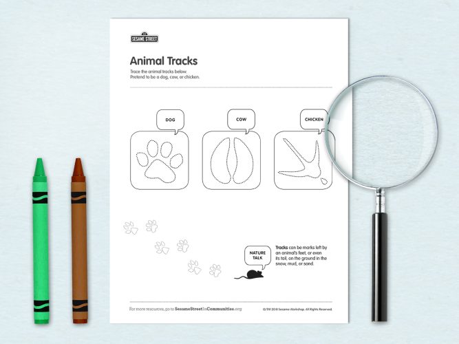 Animal Tracks Printable