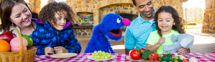 Family at a picnic with Grover.