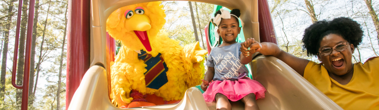 Big Bird and family helping a child down a slide.