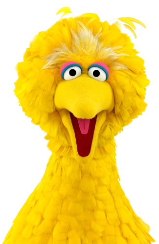 Close up of Big Bird