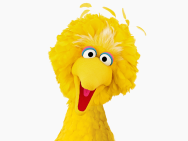 Big Bird smiling.