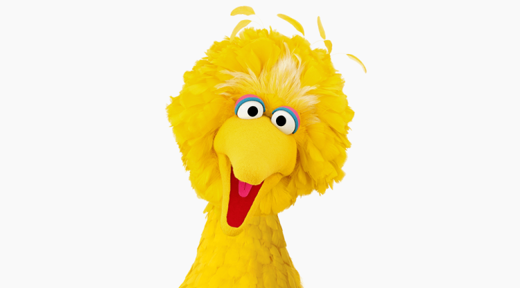 Big Bird smiling.