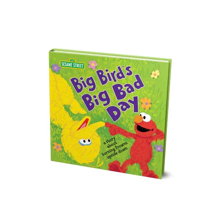 Big Bird's bad day book.