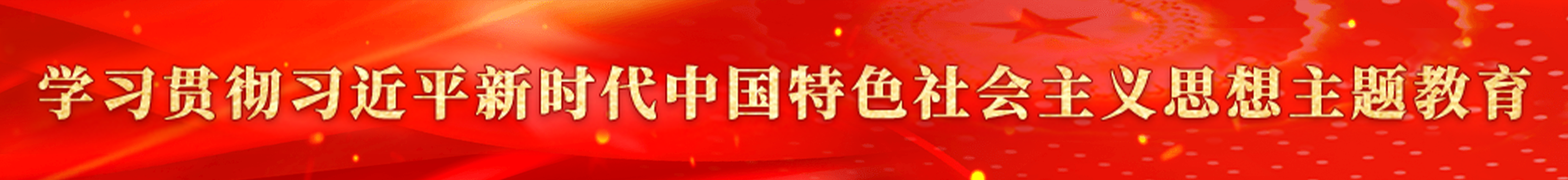 学习贯彻习近平新时代中国特色社会主义思想主题教育