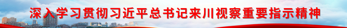 深入学习贯彻习近平总书记来川视察重要指示精神