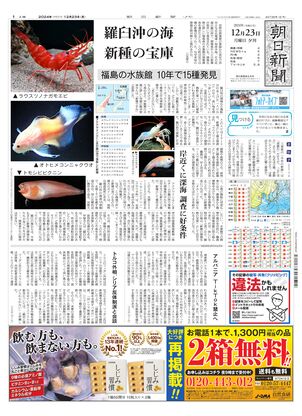 12月23日夕刊東京本社１面