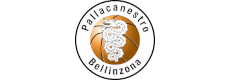 Pallacanestro Bellinzona