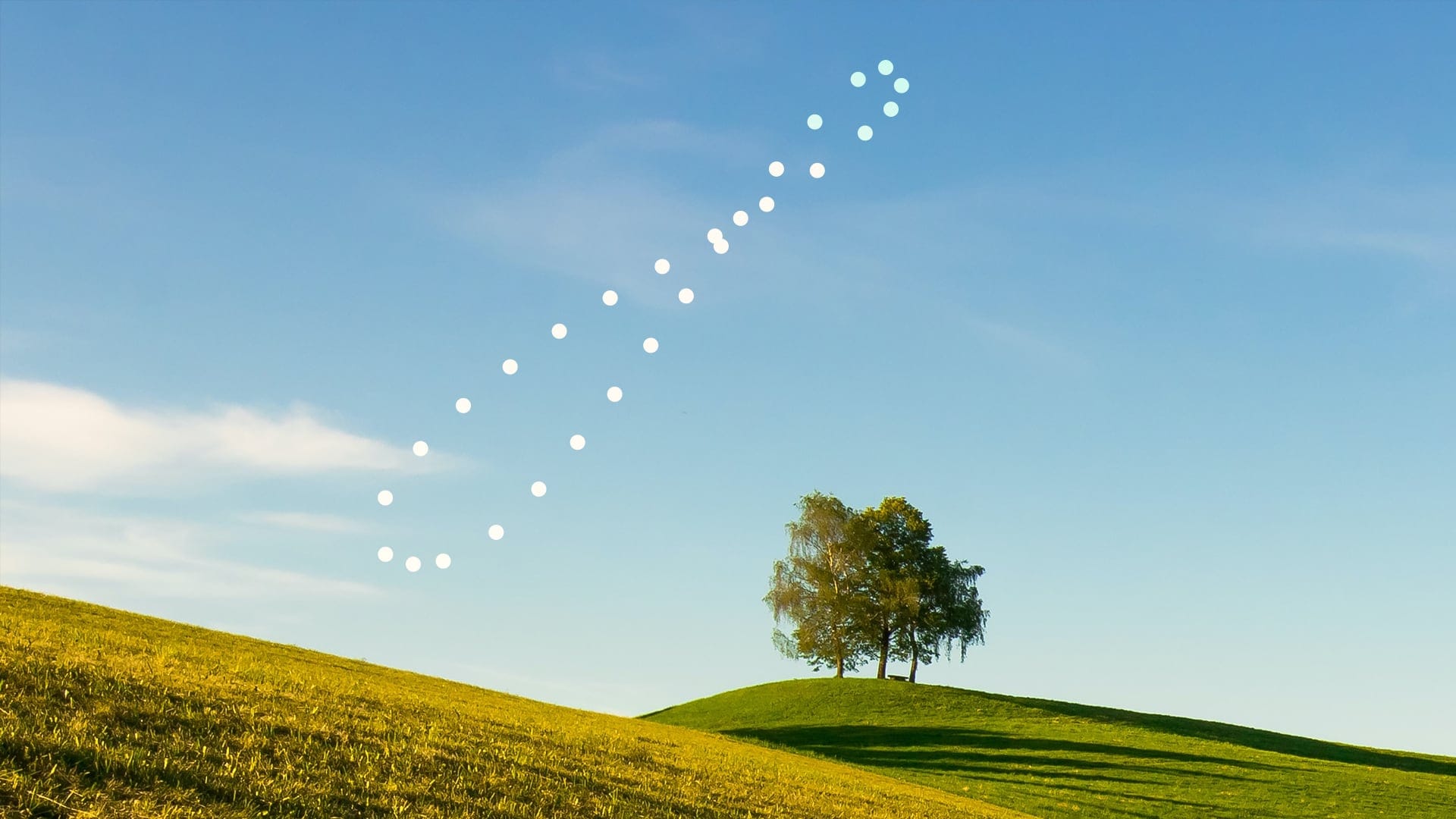 Analemma next to a tree