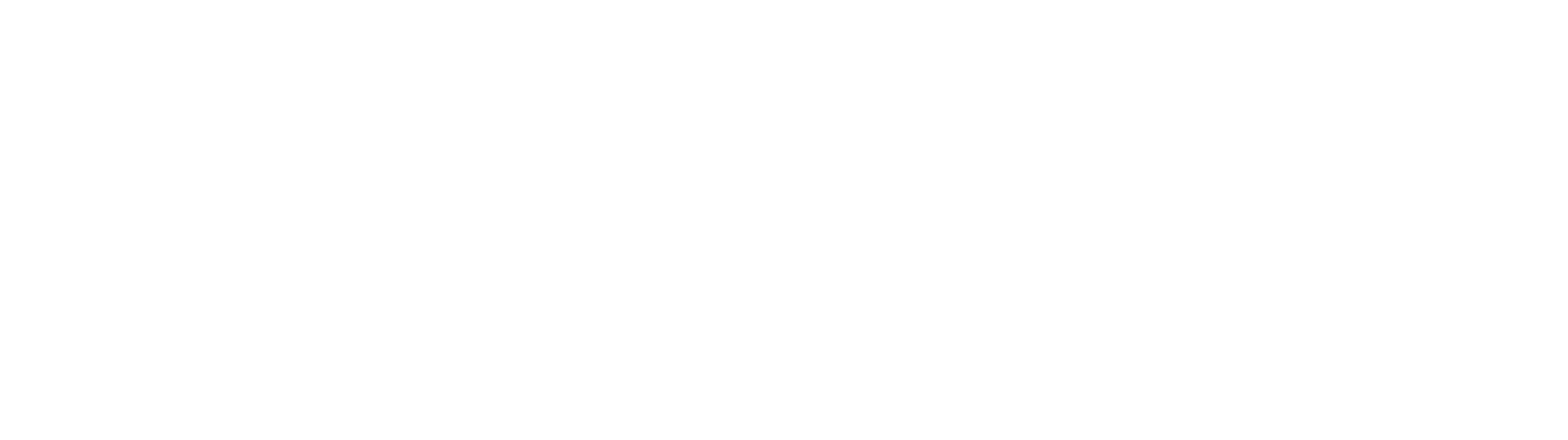 Vozo Icon