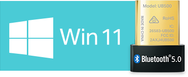 Win 11