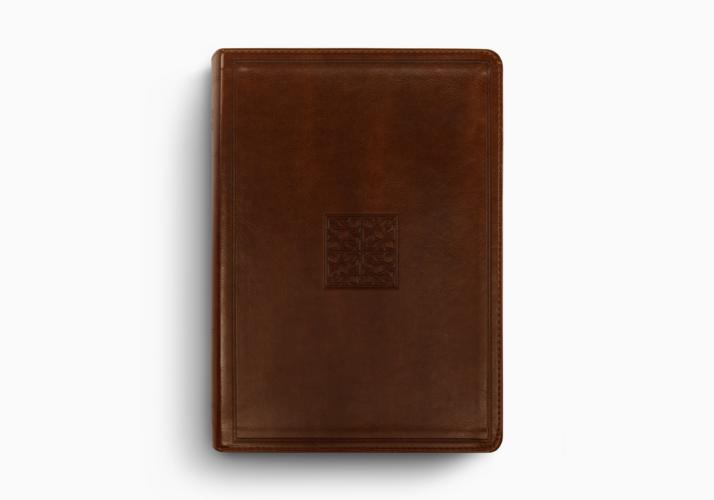 ESV Study Bible