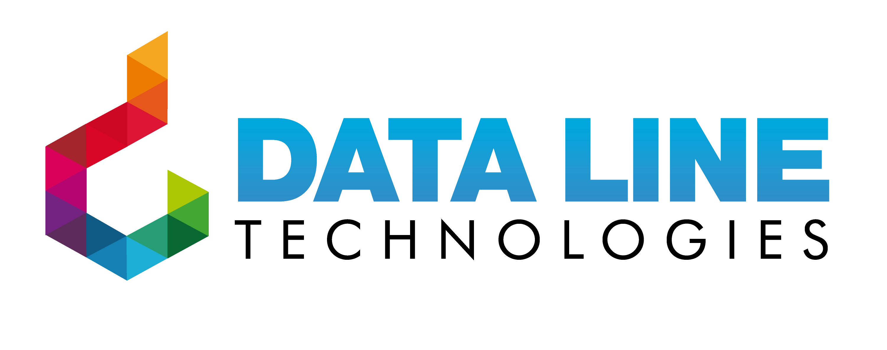 Data Line Technologies Logo