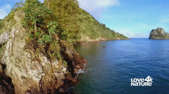 Love Nature 4K testuje polską ścieżkę dźwiękową 