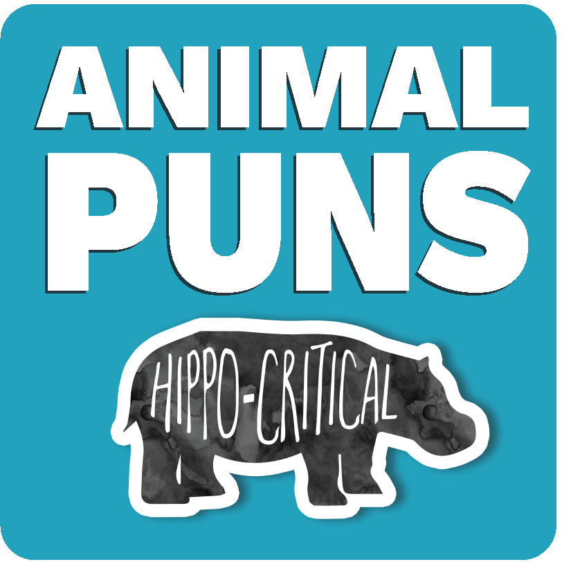 Funny stickers with animal puns, including a hippo illustration and the pun 'Hippo-Critical'.