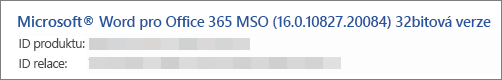 Zobrazuje verzi Wordu, build a bitovou verzi