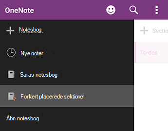 Forkert placerede sektioner i OneNote til Android