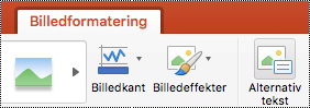 Knappen Alternativ tekst på båndet i PowerPoint til Mac