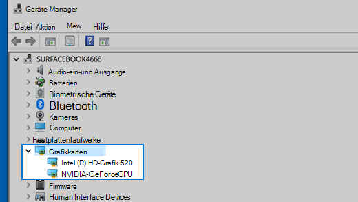 Geräte-Manager und Grafikkarten