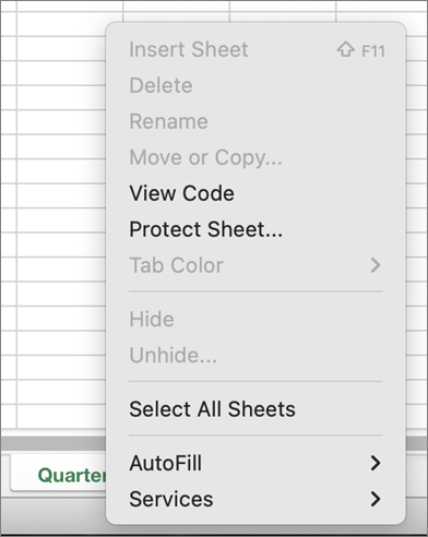 Protect Workbook menu unavailable MacOS