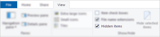 File Explorer View Hidden items checkbox