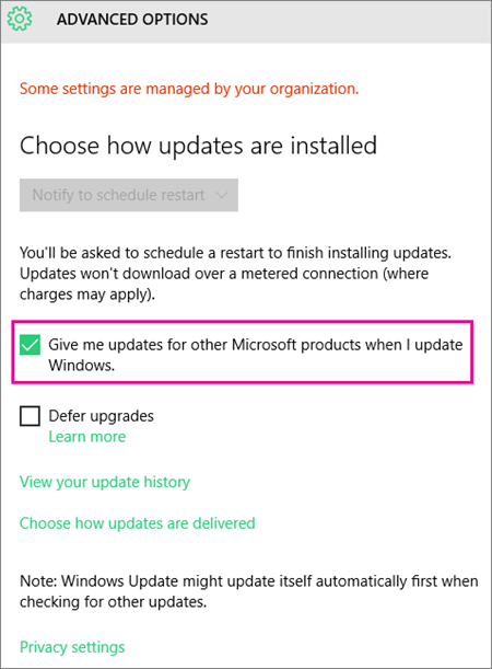 Windows Update Advanced options