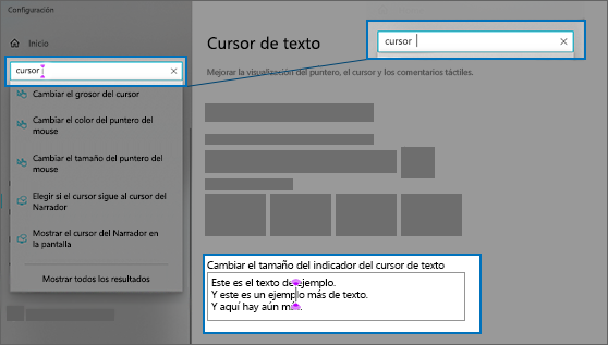 La página Configuración para el cursor de texto