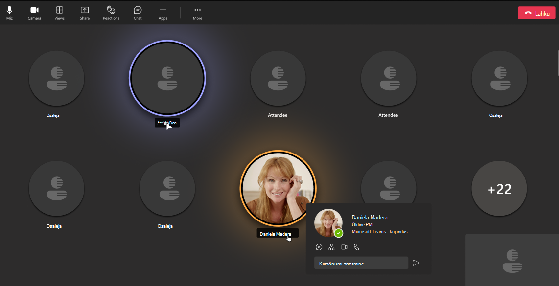 Kuvatõmmis osalejavaatest, kui nimed on Teamsi koosolekul või veebiseminaril peidetud.