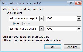 Boîte de dialogue Filtre automatique personnalisé