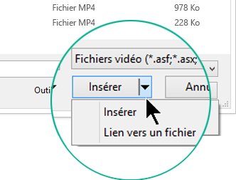 Dans la boîte de dialogue Insérer une vidéo, choisissez entre Insérer (c’est-à-dire « incorporer ») ou Lier au fichier.