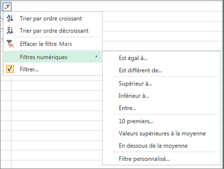 options de filtrage personnalisé disponibles pour les valeurs numériques.