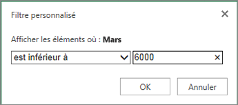 application d’un filtre personnalisé pour afficher les valeurs inférieures à un certain critère