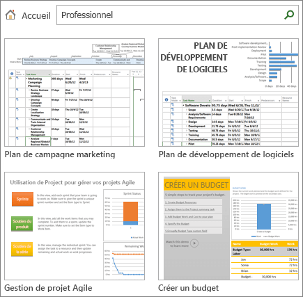 Capture d’écran de modèles de plans de projets dans la catégorie Professionnel.