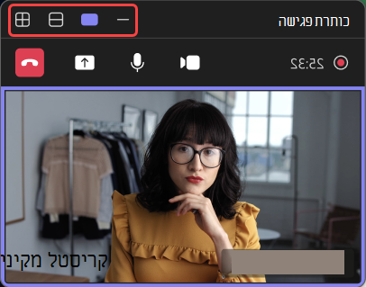 צילום מסך המדגיש תצוגות שונות בחלון הפגישה הממוזער.