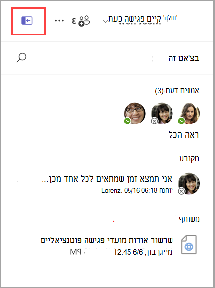 צילום מסך של אופן החשיפה של חלונית פרטי צ'אט הכוללת רשימה של שלושה אנשים, הודעה מוצמדת אחת ומסמך משותף אחד.