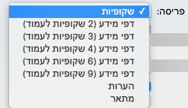 בחר את הפריסה 'שקופיות' בתיבת הדו-שיח 'הדפסה'