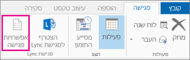 לחצן 'אפשרויות פגישה' ב- Outlook 2013