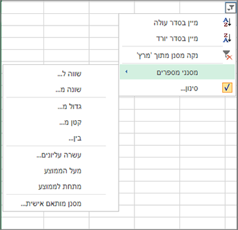 אפשרויות הסינון המותאם אישית הזמינות עבור ערכי מספרים.