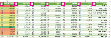 טבלת Excel המציגה מסננים מוכללים