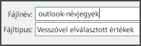 Adjon egy nevet a névjegyfájlnak.