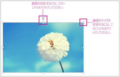 サイズ変更ハンドルが強調表示された画像