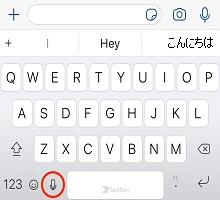 ios-voice-typing-icon