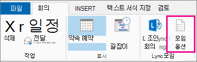 Outlook 2013의 모임 옵션 단추